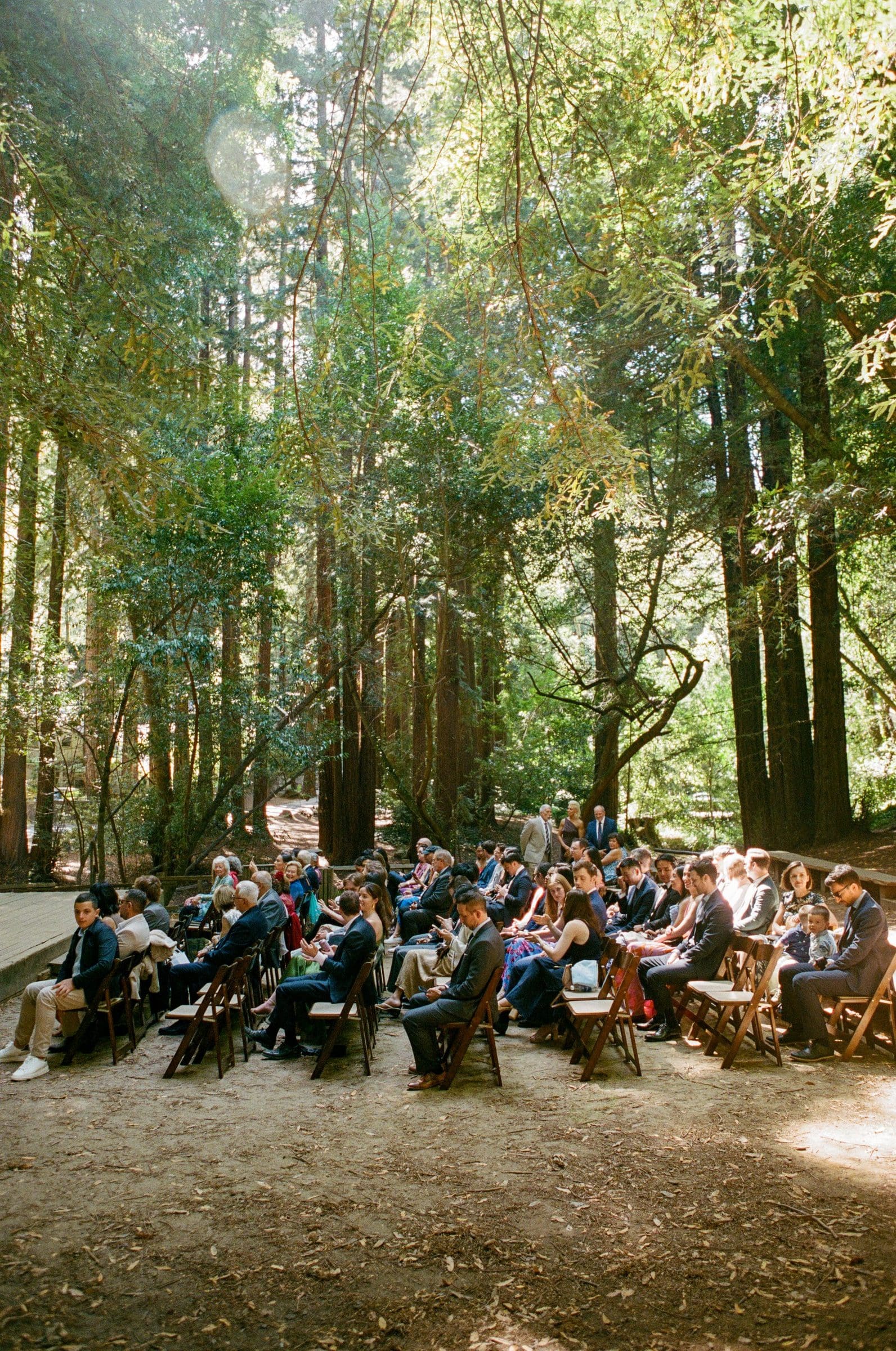 Guests gathered for the ceremony in the redwood grove, on film