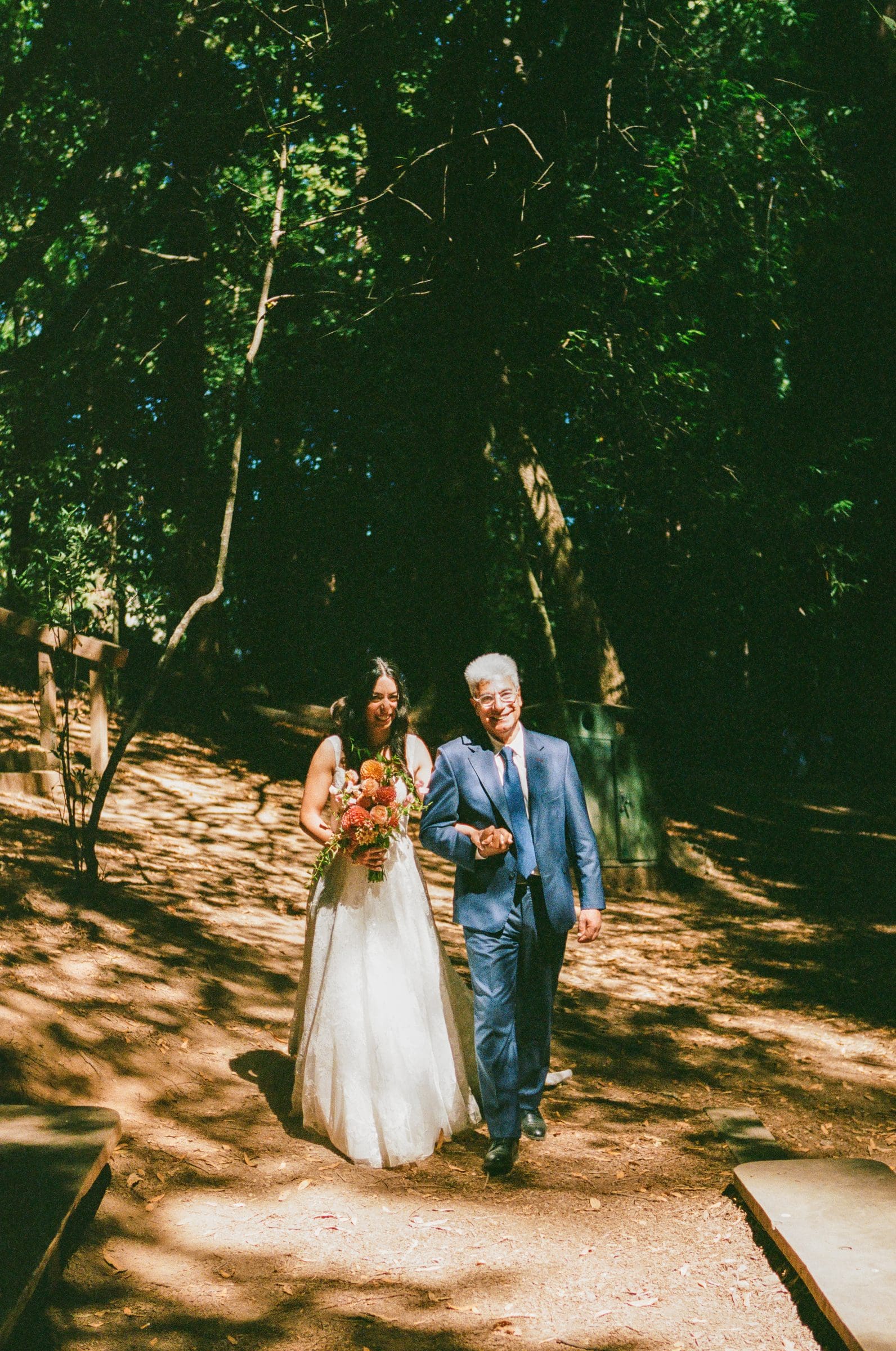 Lala walking down the aisle among the redwoods, on film