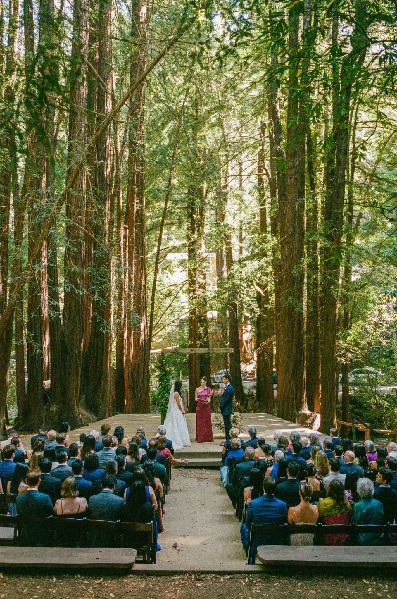 Wide view of the ceremony beneath the redwoods, on film