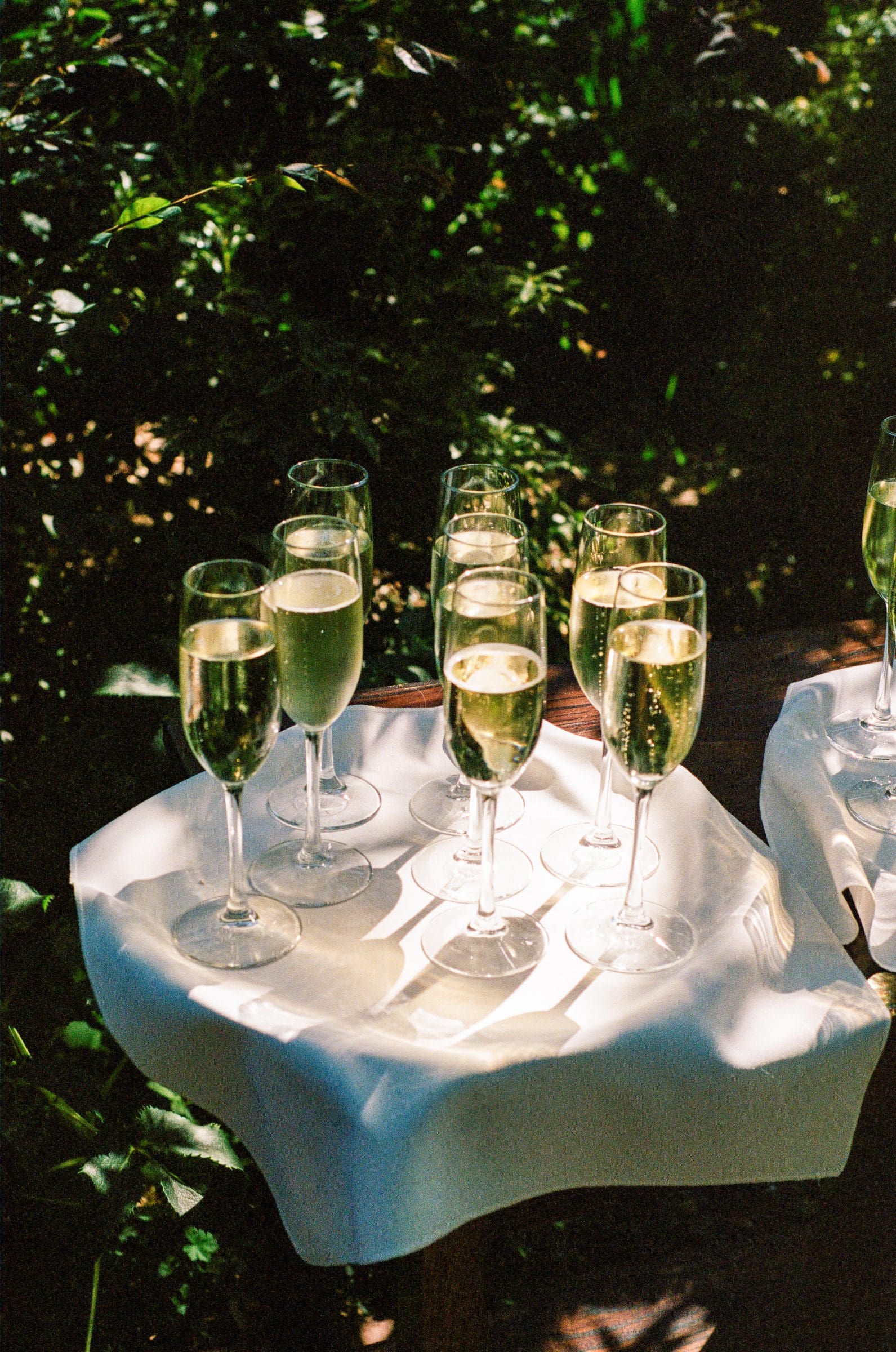 Champagne glasses waiting for cocktail hour, on film