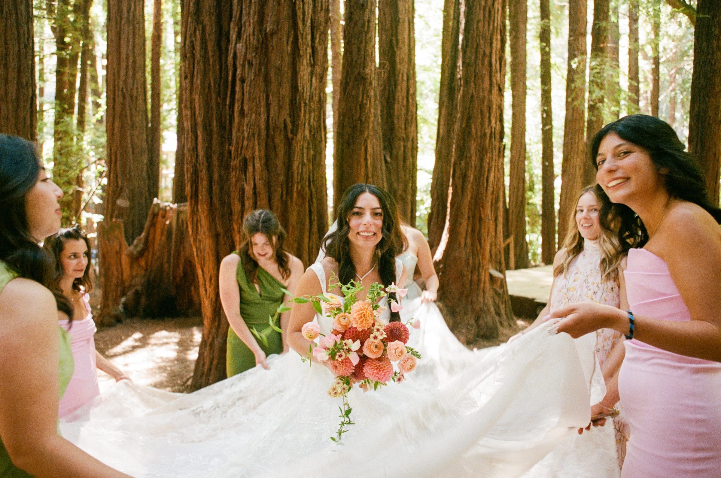 Bridesmaids gathered around Lala and her dress among the redwoods, on film