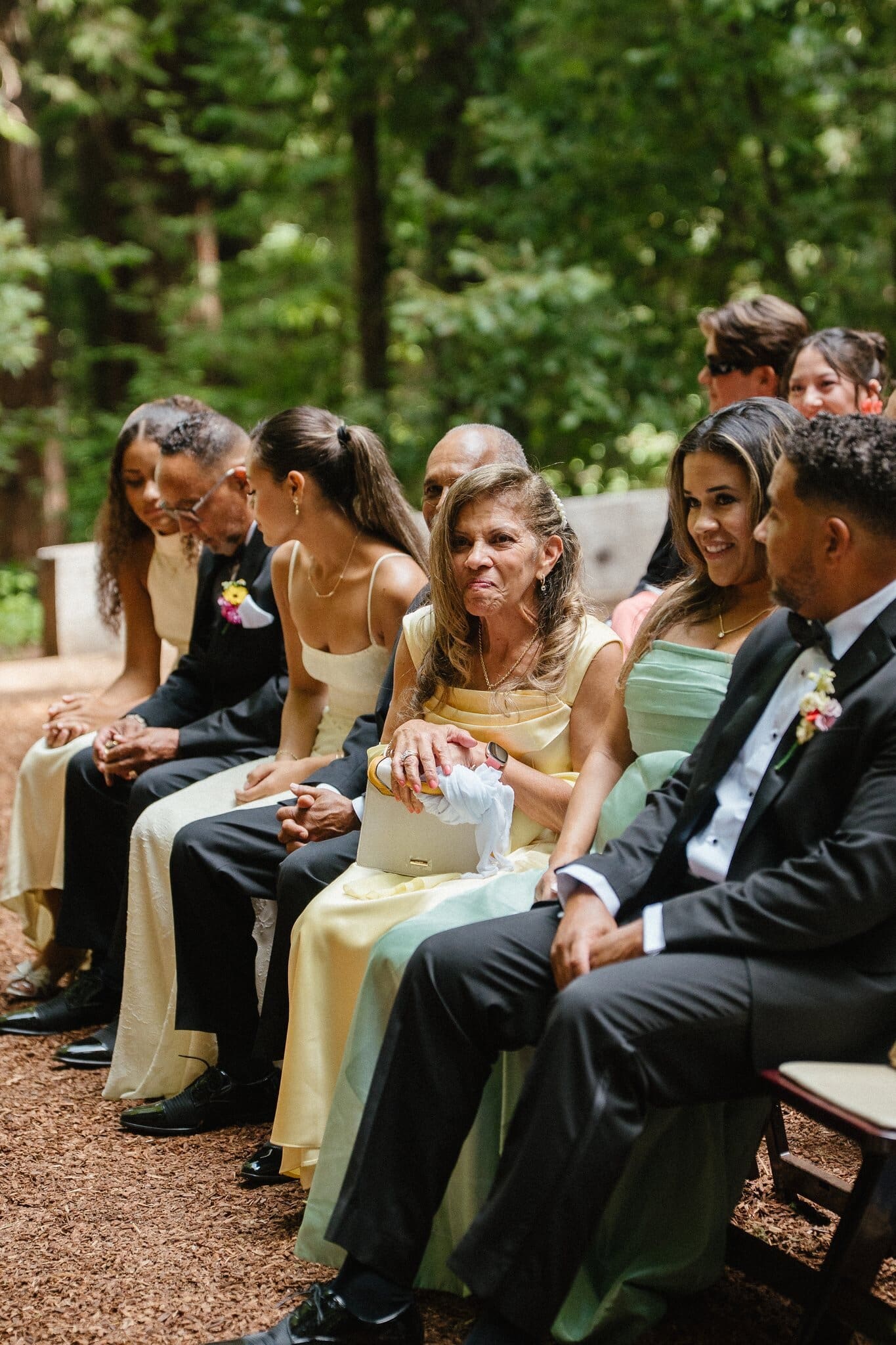 Guests seated in the redwood grove watching the ceremony