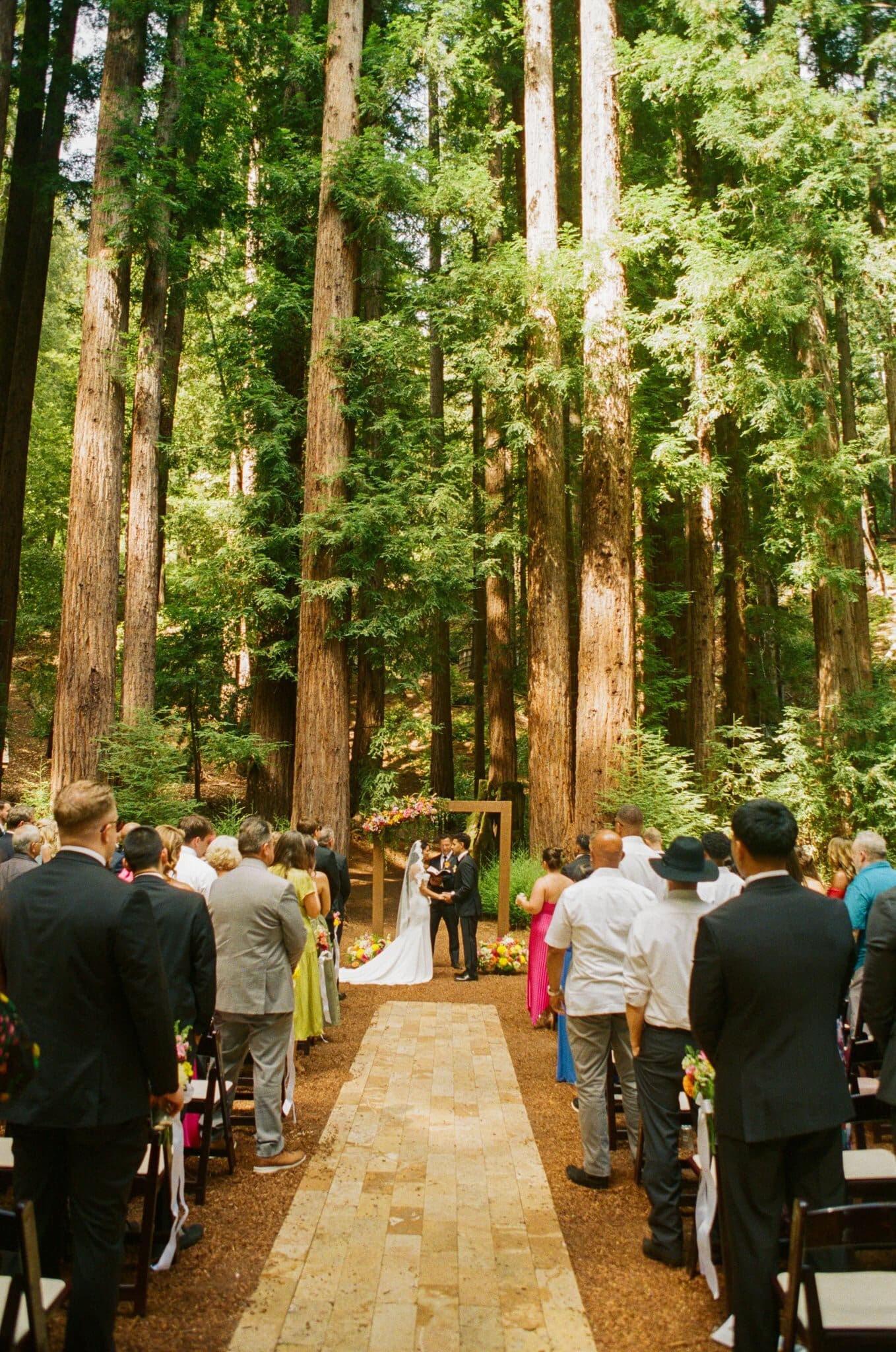Wide view of the redwood ceremony aisle at Waterfall Lodge & Retreat, on film