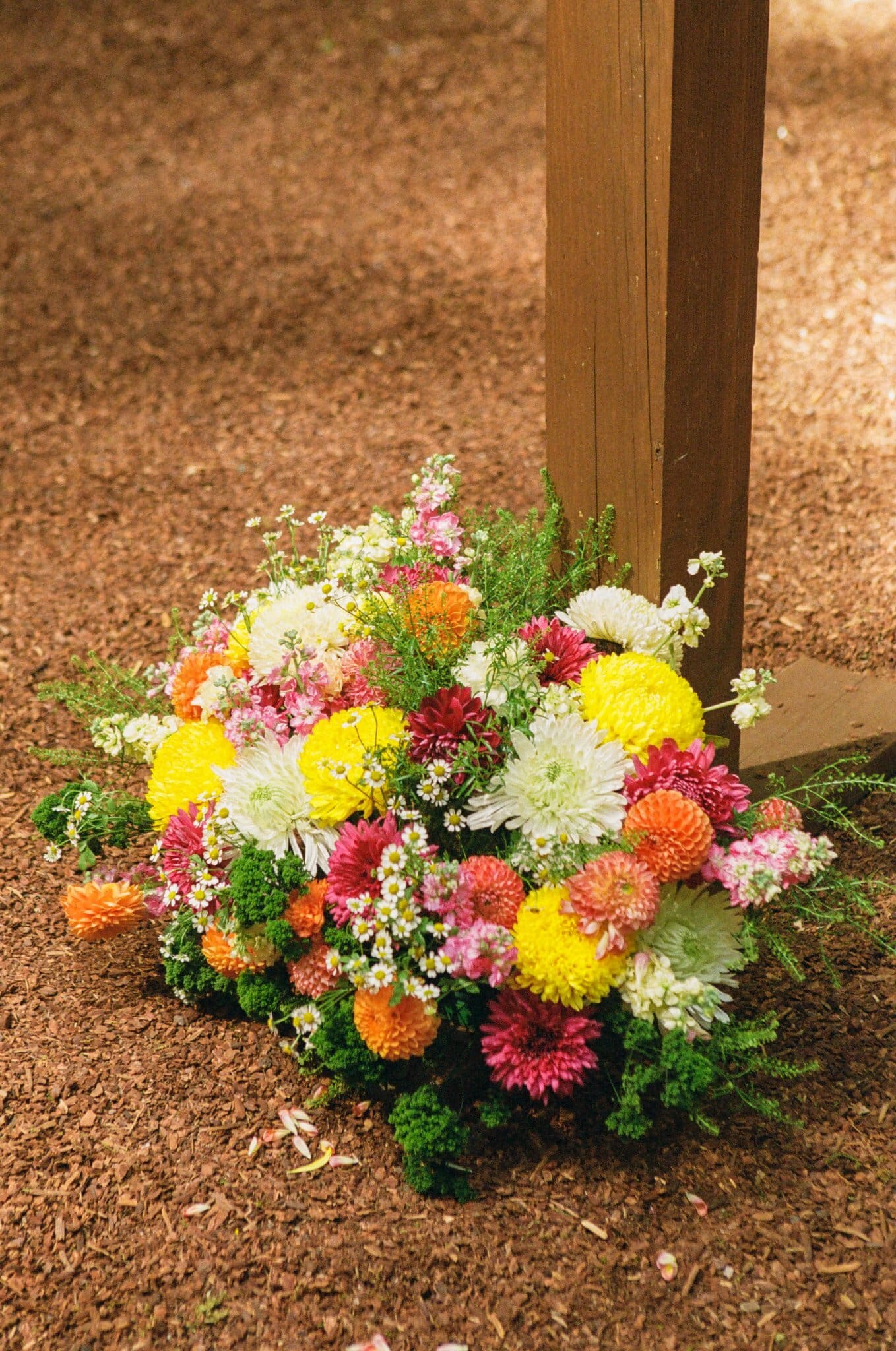 Colorful wedding florals made by family resting at the base of a redwood