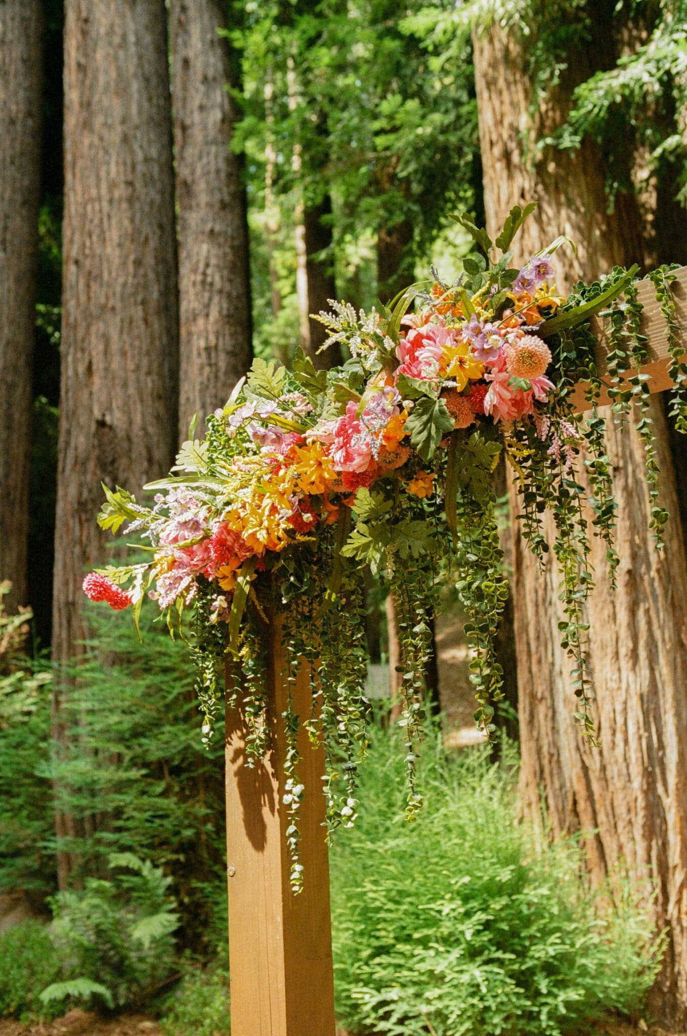 Close-up of colorful florals on the redwood ceremony arch, Santa Cruz Mountains