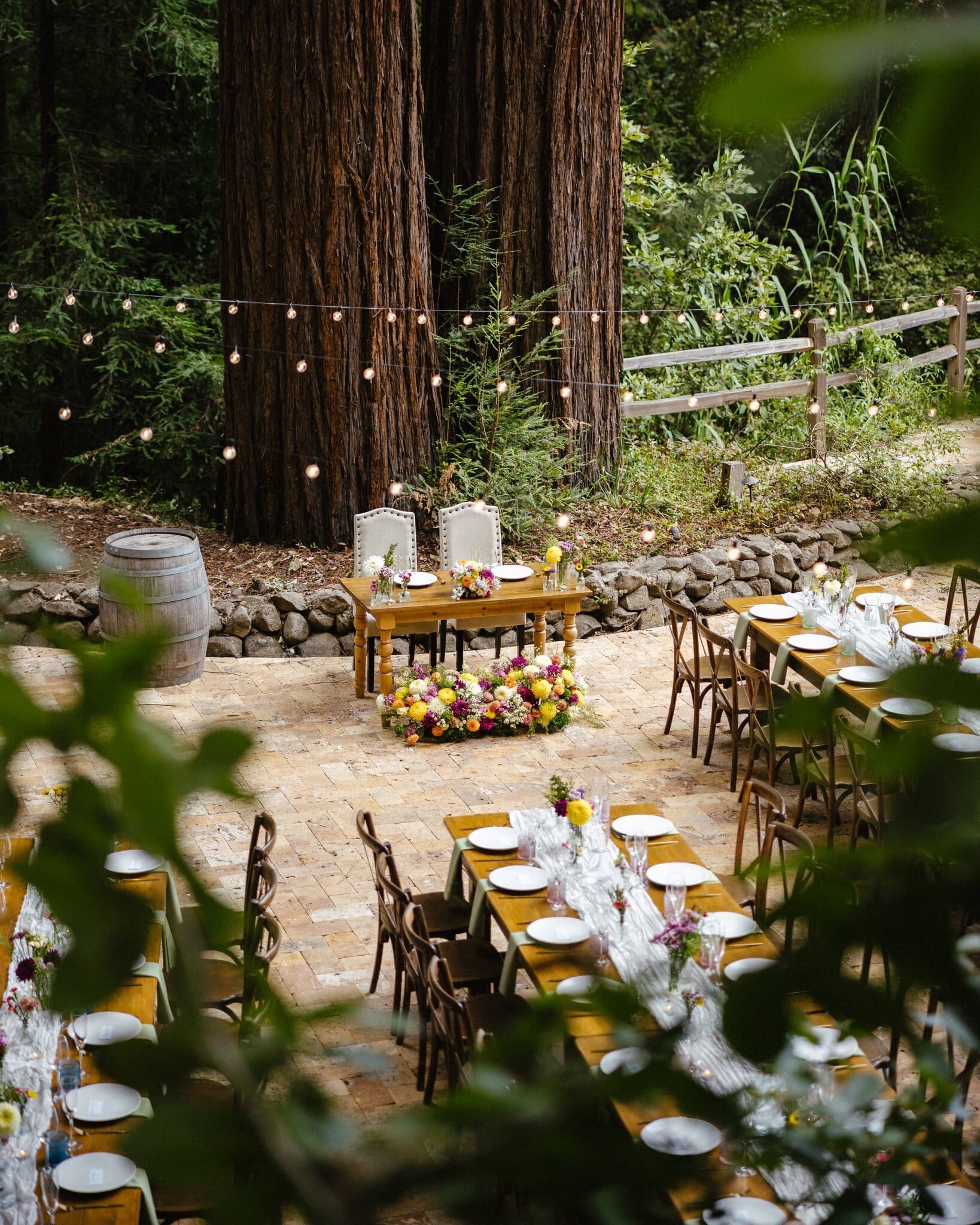 Reception tables set beneath string lights and redwoods