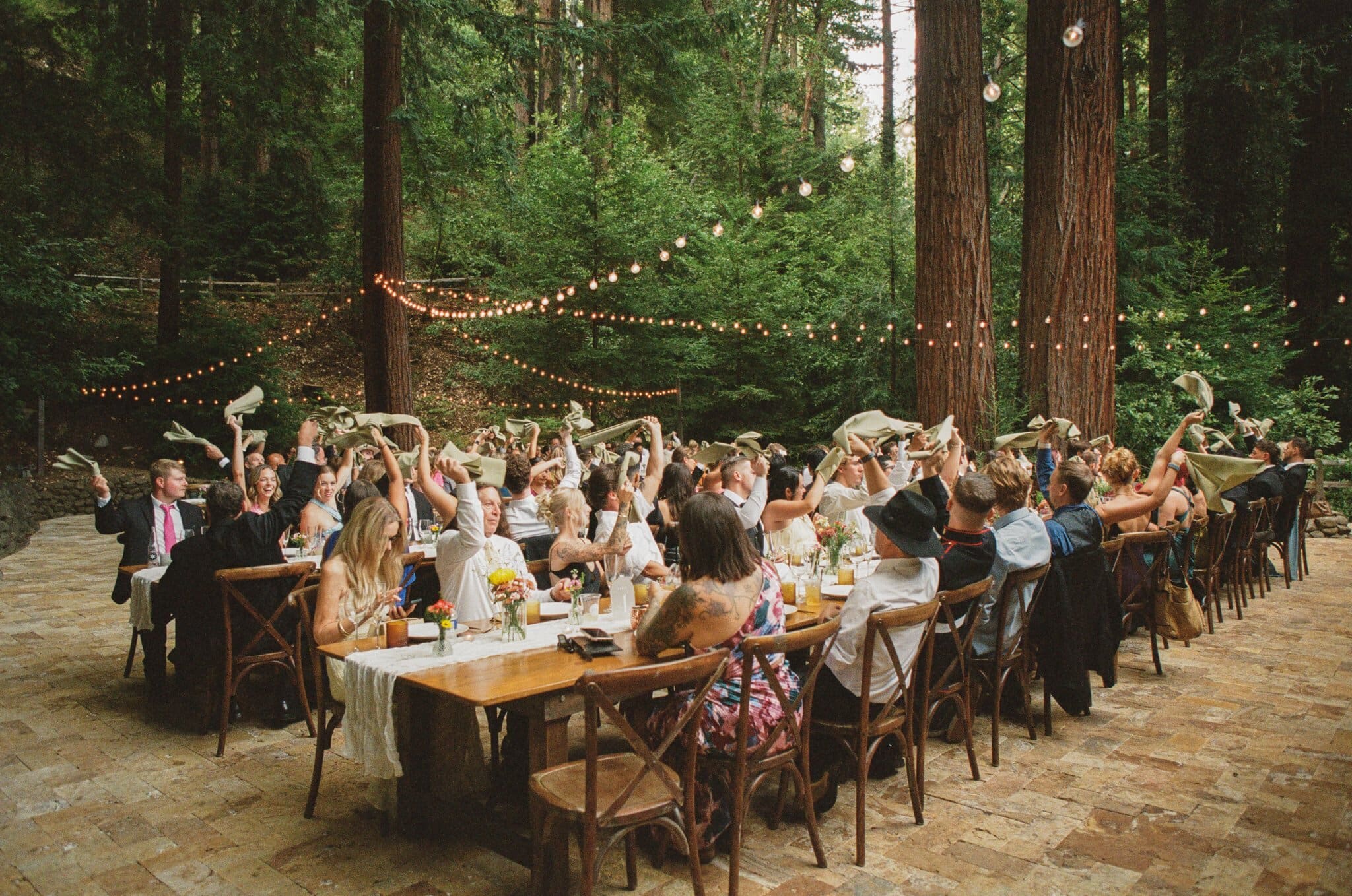 Guests cheering during toasts under the redwoods, on film