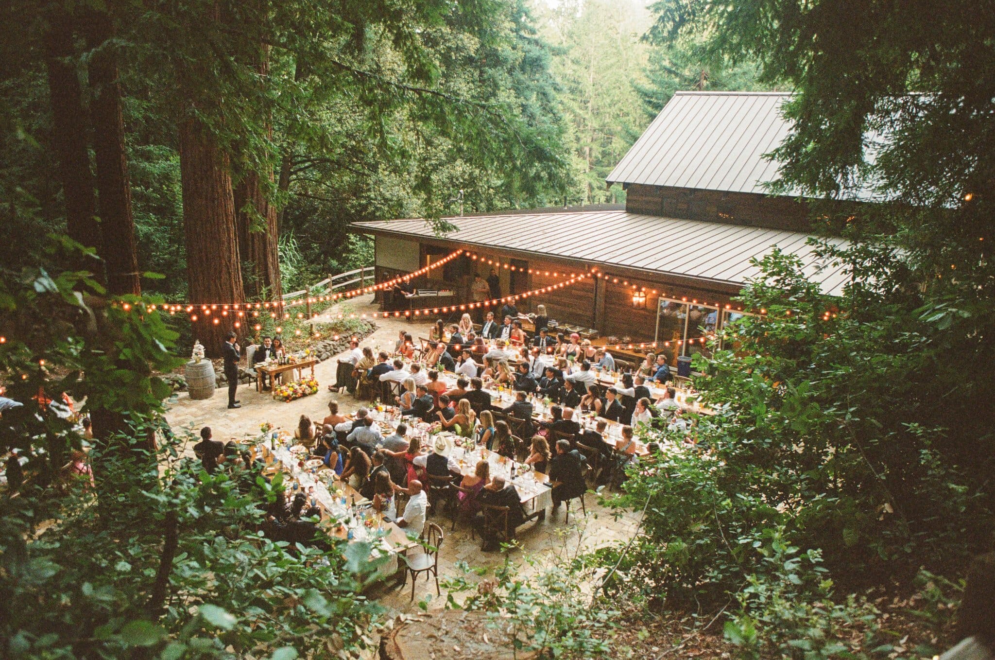 Wide view of the reception under string lights at Waterfall Lodge & Retreat, Santa Cruz Mountains, on film
