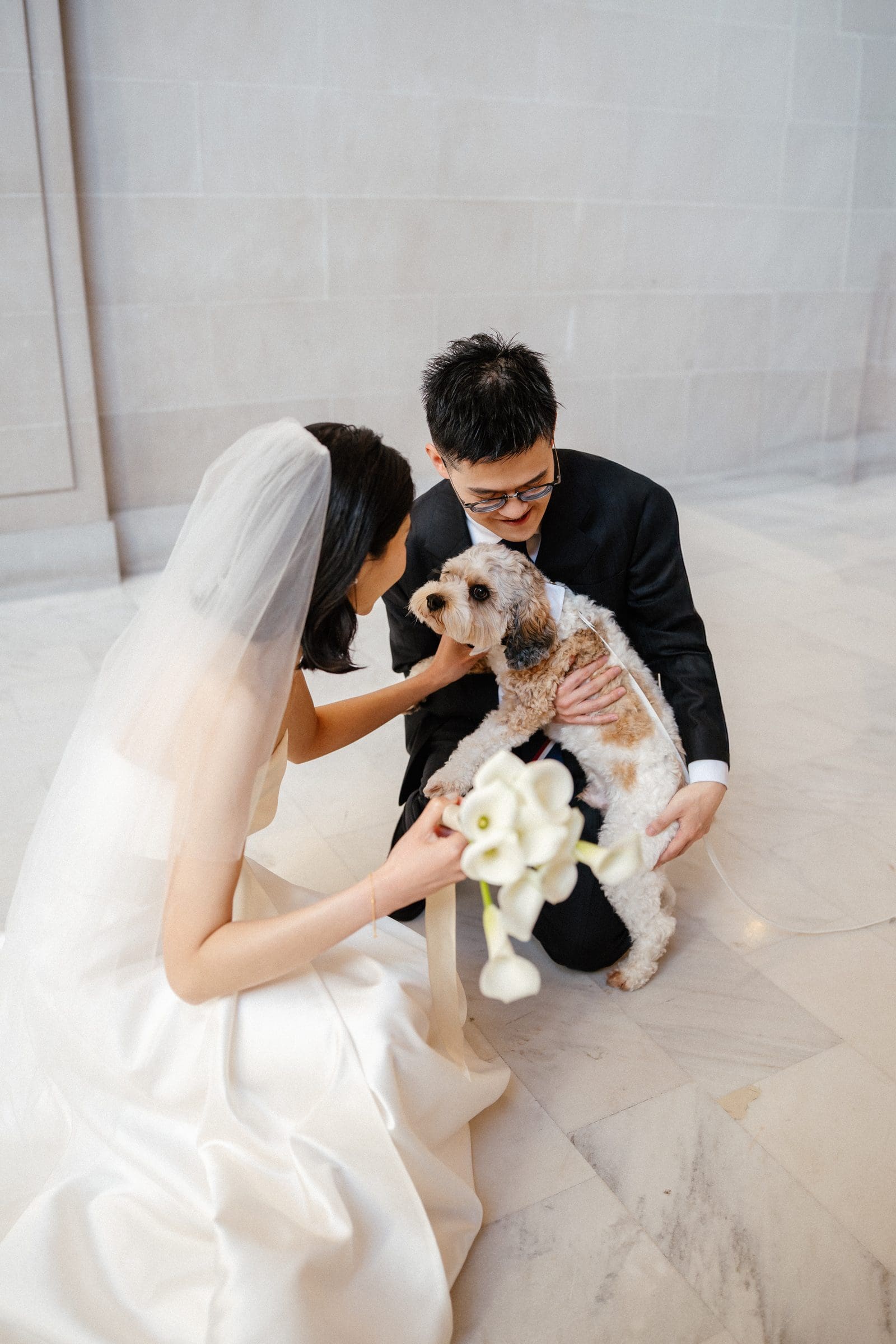 Ting and Hsiang greeting their dog at City Hall